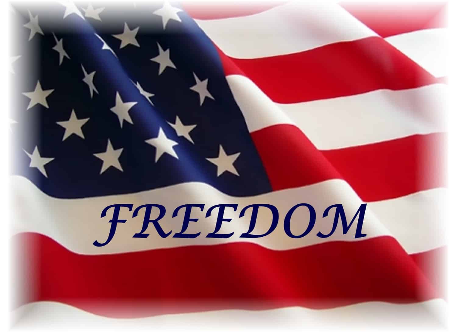essay about american freedom
