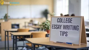 All You Need to Know About Essay Writing | Essay Writers Blog 4