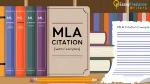 All You Need to Know About Essay Writing | Essay Writers Blog 3