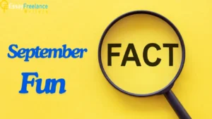 All You Need to Know About Essay Writing | Essay Writers Blog 5