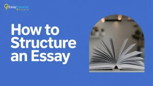 All You Need to Know About Essay Writing | Essay Writers Blog 4